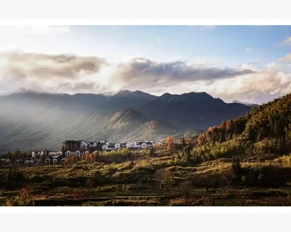 中医经典剪影：针灸天天好，学会针灸更健康